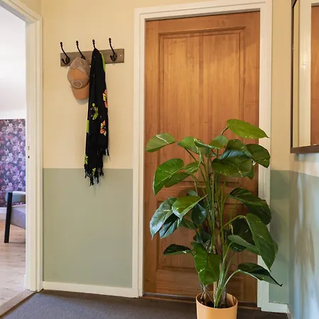 De Torenvalk * Grashoek